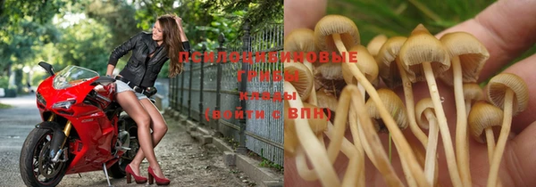 марки nbome Алексеевка